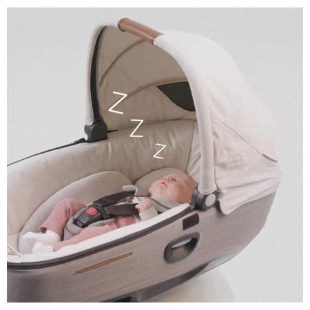 Joie Signature calmi R129™ Qyster