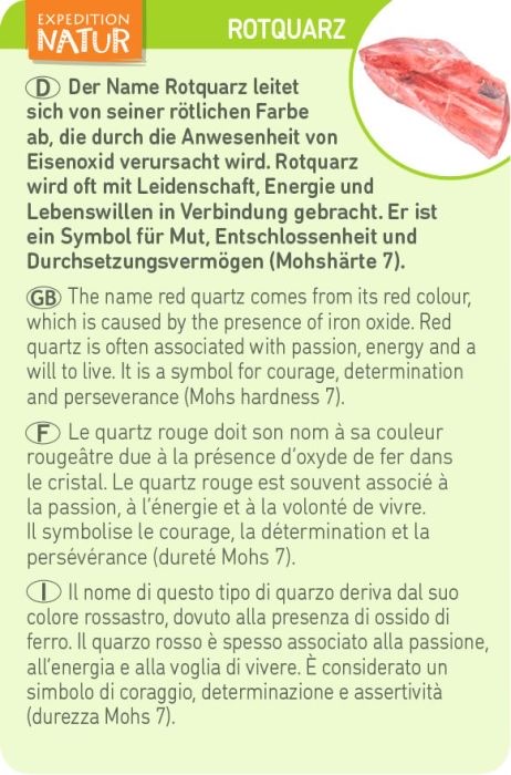 moses Expedition Natur Ausgrabungsset Kristall Rotquarz