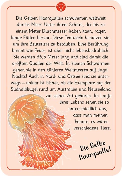 moses Expedition Natur Kartenset 50 wundersame Tierrätsel: Rekorde