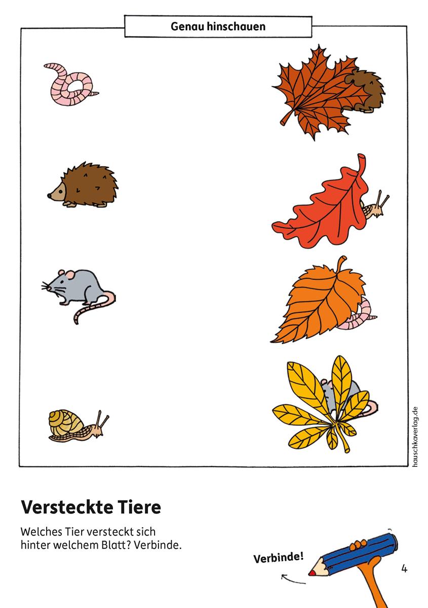 Hauschkaverlag Kindergartenblock 3 Jahre Jetzt bin ich groß!