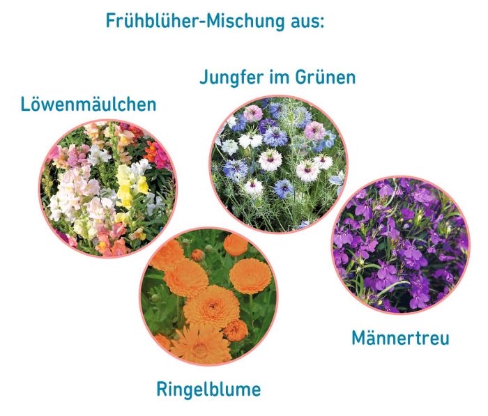 Moses Anzuchtsset Frühlingsgrüße Gießkanne Lila