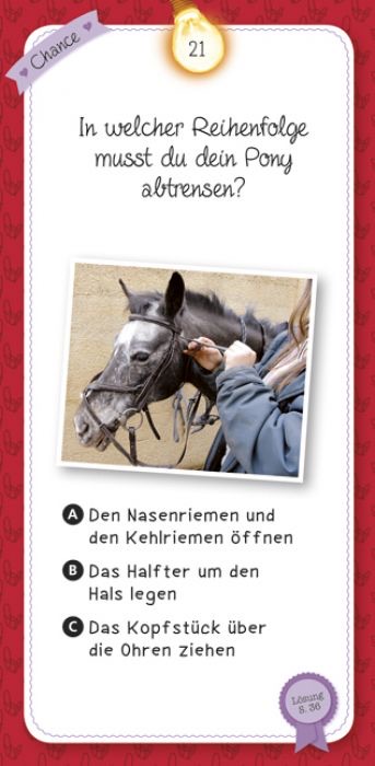 moses Das Quiz der Pferde und Ponys 100 Karten, ein Antwortbüchlein