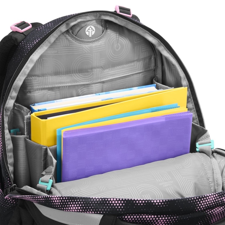 Coocazoo Mate Schulrucksack 2026 Pink Illusion