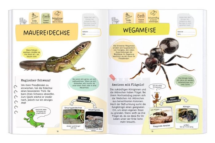 moses Expedition Natur - Rätseln, Stickern, Bestimmen Insekten & Co. moses Expedition Natur - Rätseln, Stickern, Bestimmen Insekten & Co.