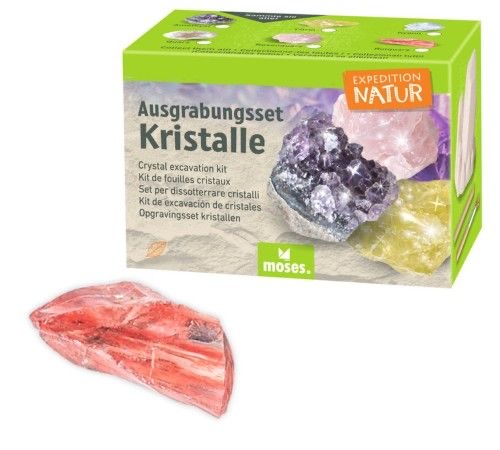 moses Expedition Natur Ausgrabungsset Kristall Rotquarz