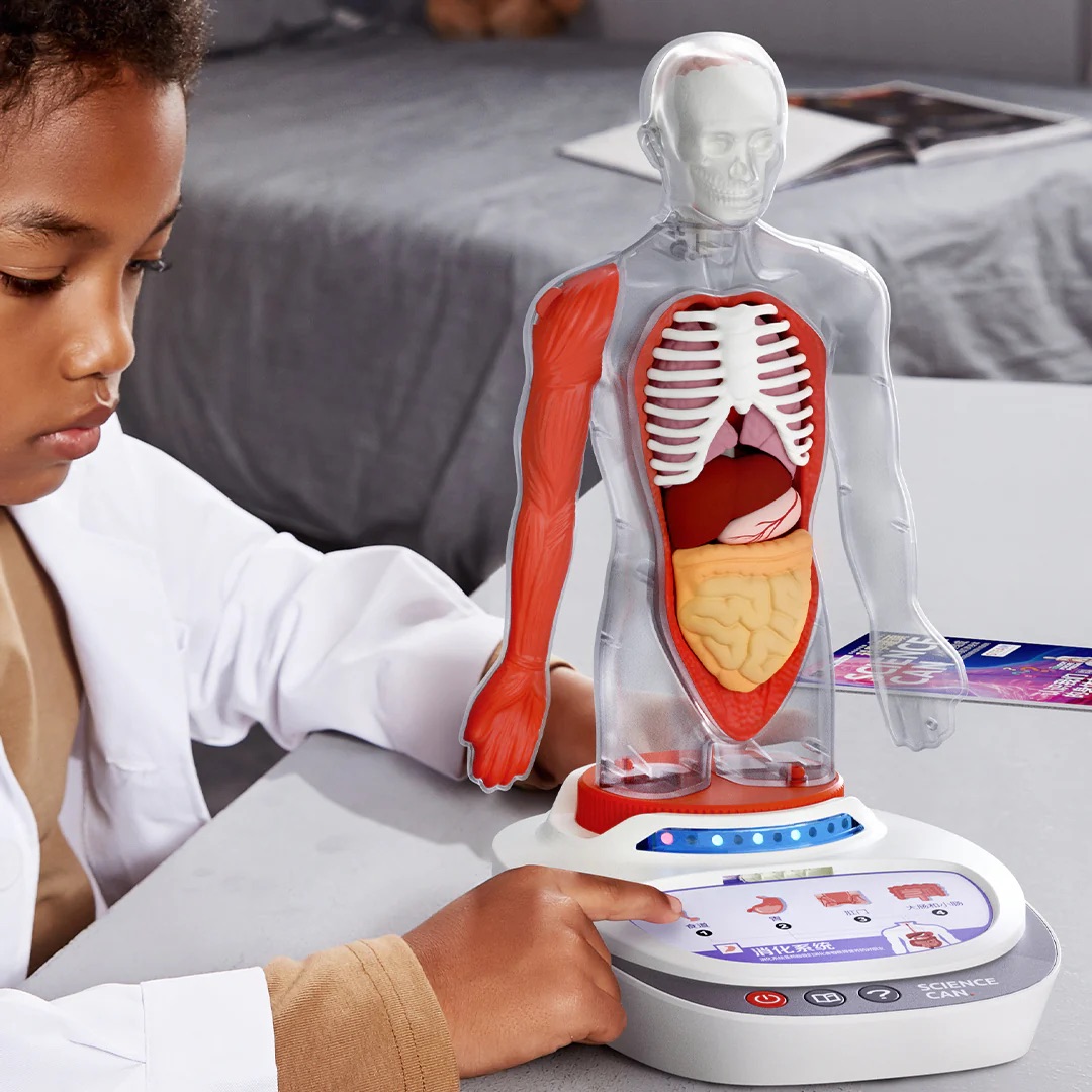 Topbright Science Can Der Körper bunt