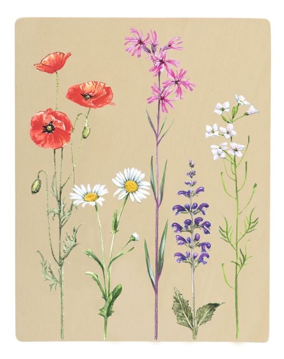 moses Expedition Natur Blatt- und Blütenpresse mit Sonnendruckpapier Holz