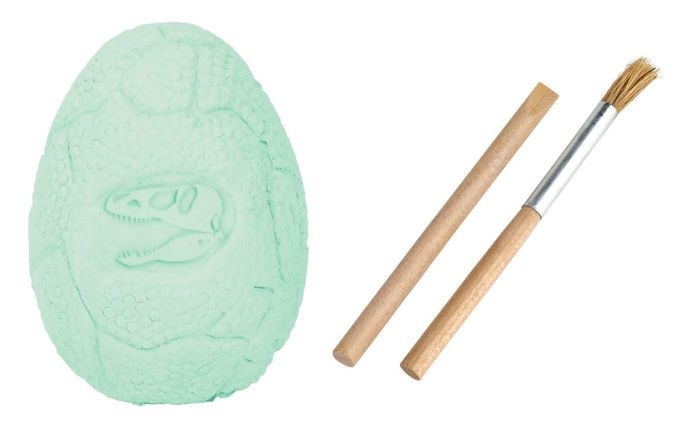 moses Ausgrabungsei Dino-Skelett