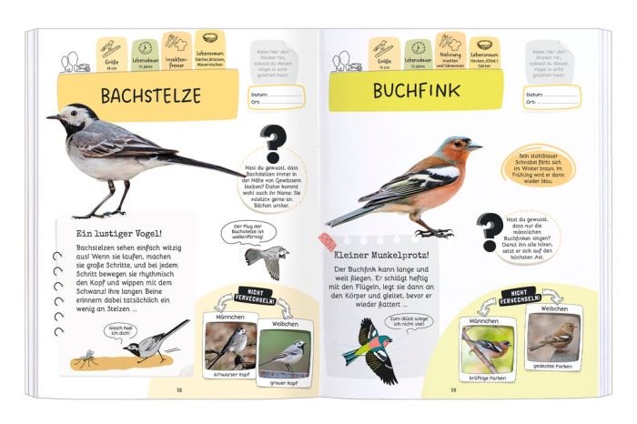 moses Expedition Natur - Rätseln, Stickern, Bestimmen Vogel