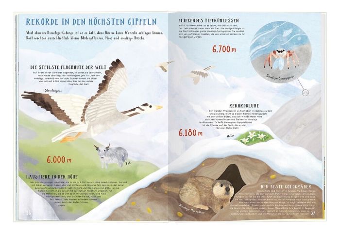 moses Verrückte Rekorde moses Verrückte Rekorde Höher, Größer, Weiter in der Natur