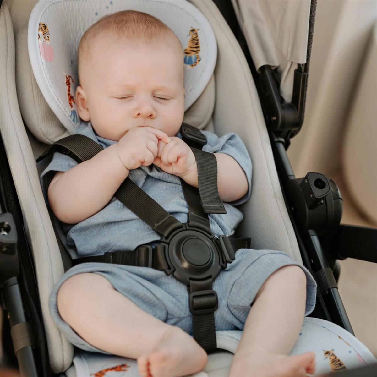 AeroMoov Air Layer - Gr. B (Buggy) Circus Tiger
