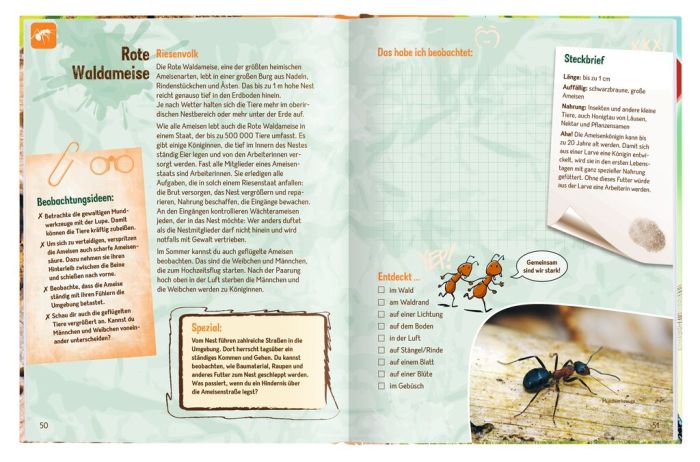 moses Expedition Natur - Die Becherlupe: moses Expedition Natur - Die Becherlupe: Die Welt der kleinen Tiere ganz groß