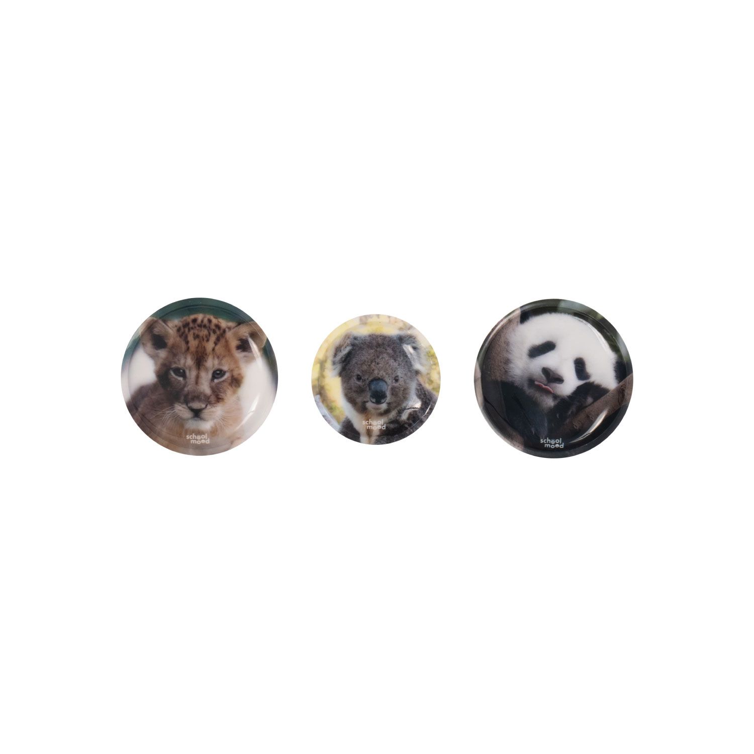 School-Mood 3. Tlg. Patchys Sets Tierkinder School-Mood 3. Tlg. Patchys Sets Tierkinder