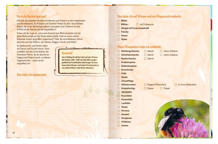 moses Expedition Natur - Die Becherlupe: moses Expedition Natur - Die Becherlupe: Die Welt der kleinen Tiere ganz groß