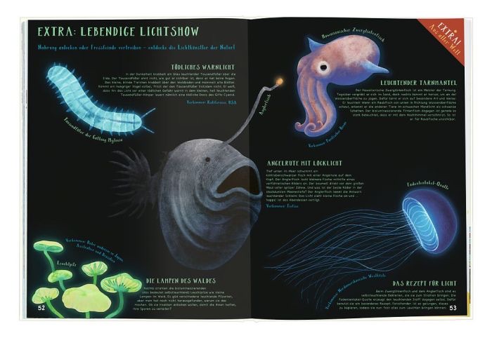 moses Verrückte Rekorde moses Verrückte Rekorde Höher, Größer, Weiter in der Natur