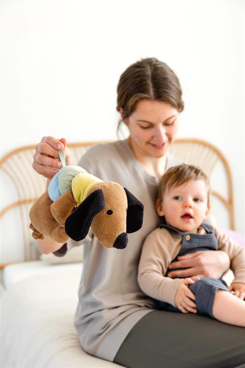 Lässig Aufzieh-Spieluhr Hund