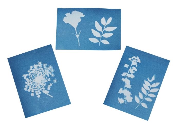 moses Expedition Natur Blatt- und Blütenpresse mit Sonnendruckpapier Holz